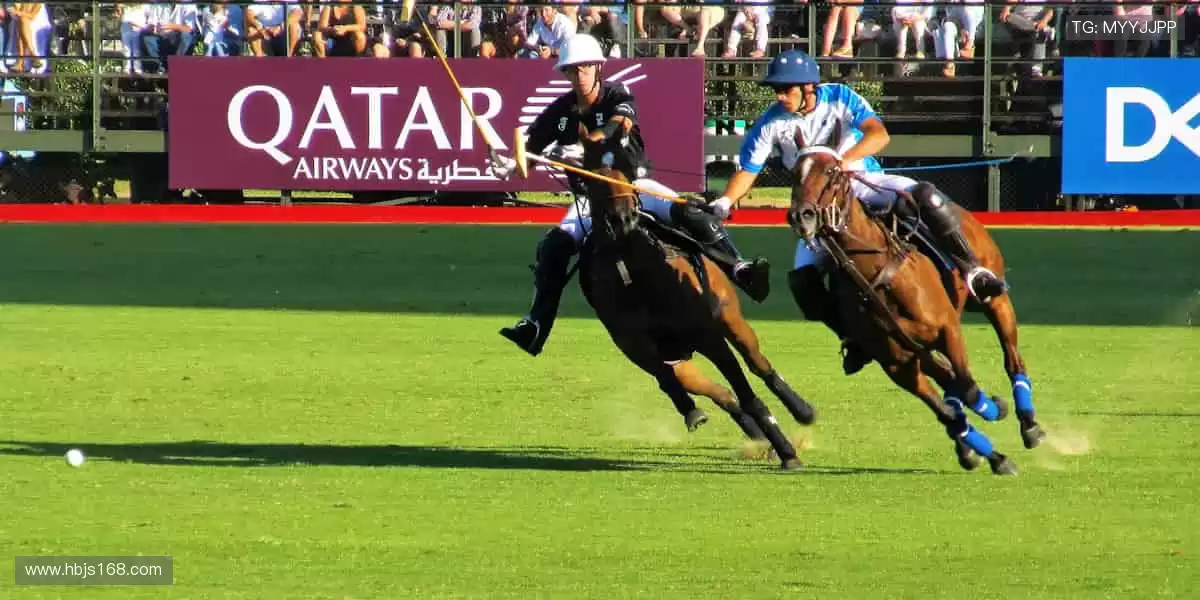 限量周边，收藏荣耀，你的专属体育记忆！🎯✨